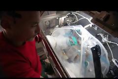 Ανταπόκριση από το... διάστημα