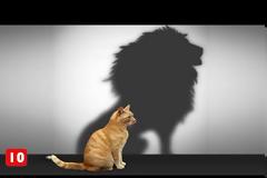 TOP 10 - 10 Tρόποι να Αποκτήσεις Αυτοπεποίθηση - Τα Καλύτερα Top10