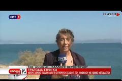 Χαρίτσης: Να δώσει ξεκάθαρες απαντήσεις η κυβέρνηση για το θανατηφόρο περιστατικό στην Κω