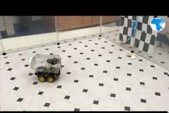 Ερευνητές έμαθαν σε ποντίκια να οδηγούν πολύ μικρά αυτοκίνητα