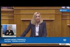 Πυρά της Φώφης Γεννηματά για το αναπτυξιακό νομοσχέδιο