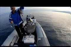 Νέο βίντεο - Σεισμος αλλη συμπεριφορα τα ψαρια