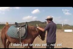 Άλογο για Όσκαρ: Όποτε πάει να το καβαλήσει κάποιος, κάνει ότι πεθαίνει (vid)