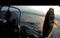 Νέο βίντεο - Ψαρεμα στην Μηλινα