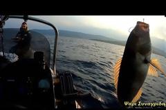 Νέο βίντεο - Ψαρεμα στην Μηλινα