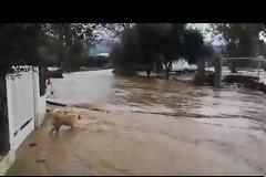 Χαλκιδική: Πλημμύρες και απεγκλωβισμοί κατοίκων από την κακοκαιρία (video)