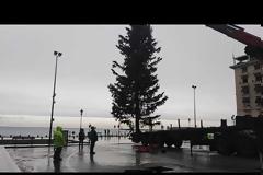 Στήνεται το χριστουγεννιάτικο δέντρο στην πλατεία Αριστοτέλους (video)