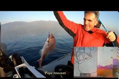 Νέο βίντεο - Εμεις τα χαναμε και η θαλασσα μας εδινε