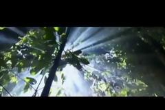 ΤΟ ΣΧΕΔΙΟ ΤΟΥ ΔΙΑΒΟΛΟΥ (Βίντεο)