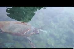 10+1 fake news που διαβάσαμε στην Ελλάδα το 2019