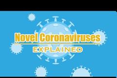 Όλα όσα πρέπει να γνωρίζετε για τον νέο κοροναϊό: Συμπτώματα, μετάδοση και αντιμετώπιση (βίντεο)