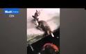 Απίστευτο βίντεο: Ψάρι πηδάει έξω από λίμνη, αρπάζει μια γάτα και τη σέρνει κάτω από το νερό