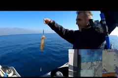 Νέο βίντεο - Του χειμωνα η ανοιξη