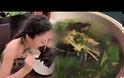Κίνα: Βρήκαν από που προήλθε ο κοροναϊός -Από τις νυχτερίδες! (βίντεο)