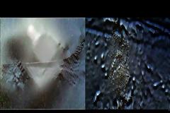 Εντόπισαν τεράστιες κατασκευές σε Ανταρκτική και Ατλαντικό, σύμφωνα με ισχυρισμούς, και τα σενάρια για το τι μπορεί να είναι (βίντεο)