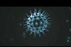 Νέο βίντεο - ΚΟΡΩΝΑΪΟΣ