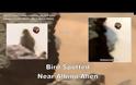 Πιθανό πτηνό κοντά στον εξωγήινο που κρυφοκοιτάζει πίσω από βράχο στον Άρη, σύμφωνα με ισχυρισμούς (video)