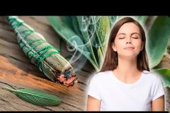 Φασκόμηλο: Ένα φυτό με πολλά οφέλη για την υγεία-ΒΙΝΤΕΟ