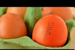 Τροφές που μπορείτε να καταναλώνετε και μετά την ημερομηνία λήξης τους-ΒΙΝΤΕΟ