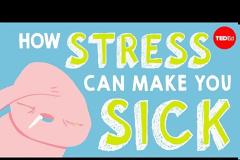 Οι επιπτώσεις του στρες στο σώμα μέσα από ένα video animation