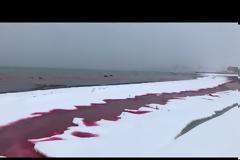 ΒΙΝΤΕΟ.Συγκλονιστικό θέαμα: «Μάτωσε» η θάλασσα στο Καζακστάν