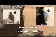 “Πτηνό” κοντά σε παράξενο “πρόσωπο” εντοπίστηκε στον πλανήτη Άρη (video)