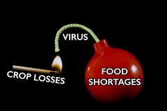 ΑΠΟΚΛΕΙΣΤΙΚΟ: ΚΙΝΑ ΔΙΝΟΥΝ ΕΞΙΤΗΡΙΟ ΣΕ ΑΣΘΕΝΕΙΣ ΜΕ ΚΟΡΟΝΑΪΟ. ΜΕΤΑΦΕΡΟΥΝ ΜΟΛΥΣΜΕΝΟΥΣ ΜΕ ΚΟΡΟΝΑΙΟ ΜΕ ΑΕΡΟΠΛΑΝΑ ΠΑΝΤΟΥ ΓΙΑ ΝΑ ΜΟΛΥΝΟΥΝ ΤΟΝ ΠΛΑΝΗΤΗ(Βίντεο)