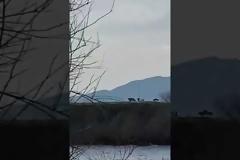 Εβρος: Ακραία ενέργεια Ερντογάν με στρατιωτικά οχήματα να συνοδεύουν τους μετανάστες [Βίντεο]