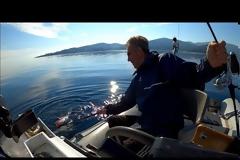 Νέο βίντεο - Τι να κανουμε αυτο το ψαρι