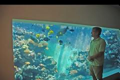 ΚΑΤΑΣΚΕΥΕΣ - Αυτός ο άνδρας κατασκεύασε ένα πραγματικά επικό ενυδρείο στο σπίτι του