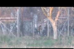 Ανάμεσα στους μετανάστες στα σύνορα υπάρχουν και πράκτορες των Τούρκων με εξοπλισμό όπως...πολυβομβιδοβόλο καπνογόνων (Video)