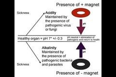 Η SYLVIA BROWNE ΠΡΟΕΒΛΕΨΕ ΠΡΙΝ 12 ΧΡΟΝΙΑ ΤΗΝ ΕΚΡΗΞΗ ΤΟΥ ΚΟΡΩΝΑΙΟΥ ΤΟ 2020 ΟΠΩΣ ΚΑΙ ΤΟΝ ΘΑΝΑΤΟ ΤΗΣ(Βίντεο)