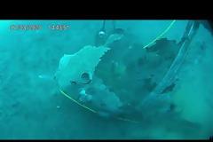 «Βατράχια» εξουδετέρωσαν νάρκη στην Σκόπελο (video)