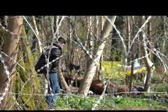 Βίντεο με τον αδιαπέραστο «φράχτη» στις Καστανιές