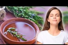 Οι χαλαρωτικές ιδιότητες του δενδρολίβανου-ΒΙΝΤΕΟ
