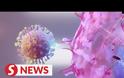 Ανατριχιαστικό βίντεο: Δείτε πως εισέρχεται ο κορωνοϊός στα ανθρώπινα κύτταρα -Πως επηρεάζει πνεύμονες, καρδιά, νεφρούς και έντερο