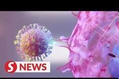 Ανατριχιαστικό βίντεο: Δείτε πως εισέρχεται ο κορωνοϊός στα ανθρώπινα κύτταρα -Πως επηρεάζει πνεύμονες, καρδιά, νεφρούς και έντερο