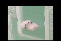 ΒΙΝΤΕΟ..Τεράστια τσούχτρα στα νερά της άδειας Βενετίας