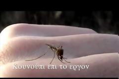 Τα κουνούπια προτιμούν τους ανθρώπους με χοληστερίνη, ουρικό οξύ, ιδρώτα και τις εγκύους