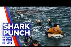 Καρχαρίας: Η τρομακτική στιγμή της επίθεσης σε Γάλλο σέρφερ