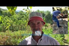 Τρίκορφο Ναυπακτίας: Διάσωση αετού από...φίδι