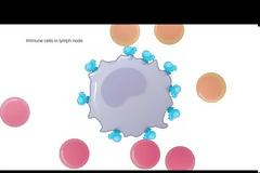 Περίεργο. Το εμβόλιο της Moderna σχεδιάστηκε σε μερικές ημέρες και χρηματοδοτείται από τον Bill Gates?