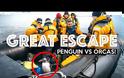 Η μεγάλη απόδραση του πιγκουίνου στην Ανταρκτική