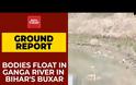 Δραματικές στιγμές στην Ινδία: Οι σοροί δεκάδων θυμάτων κορονοϊού ξεβράστηκαν στις όχθες του Γάγγη (βίντεο)