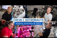 Η έρευνα των αστροναυτών στον Διεθνή Διαστημικό Σταθμό ISS