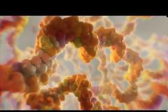 Πώς το εμβόλιο mRNA εκπαιδεύει τα κύτταρα να σκοτώνουν τον κορονοϊό (βίντεο)