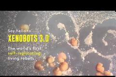 Τα πρώτα «ζωντανά ρομπότ» του κόσμου έμαθαν να αναπαράγονται (+vid)