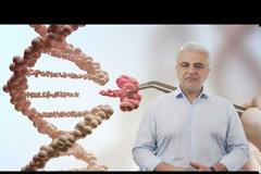 Τα νέα μαθήματα του Mathesis ξεκινάνε: 4η Βιομηχανική Επανάσταση, Επιστήμη Δεδομένων και τρεις επαναλήψεις αγαπημένων μαθημάτων