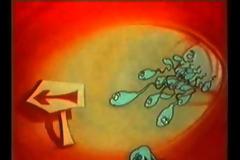 Φυσική Στ΄ τάξης - Ενότητα Αναπαραγωγικό σύστημα - Φύλλο Εργασίας 1ο