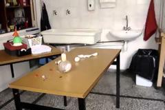 Πειράματα με αβγά